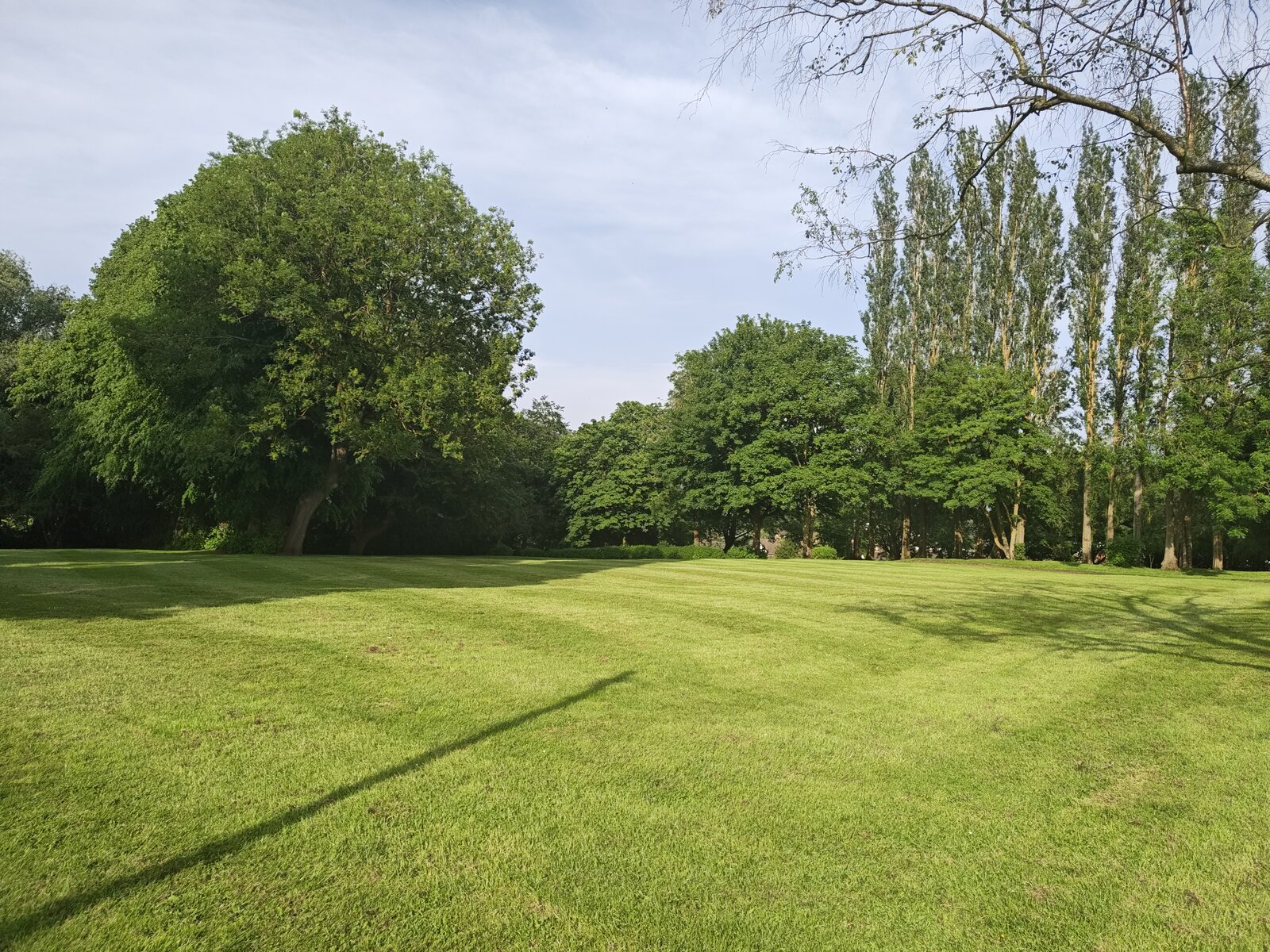 Wide open green lawn with tall mature trees at the edge of Verdin Park