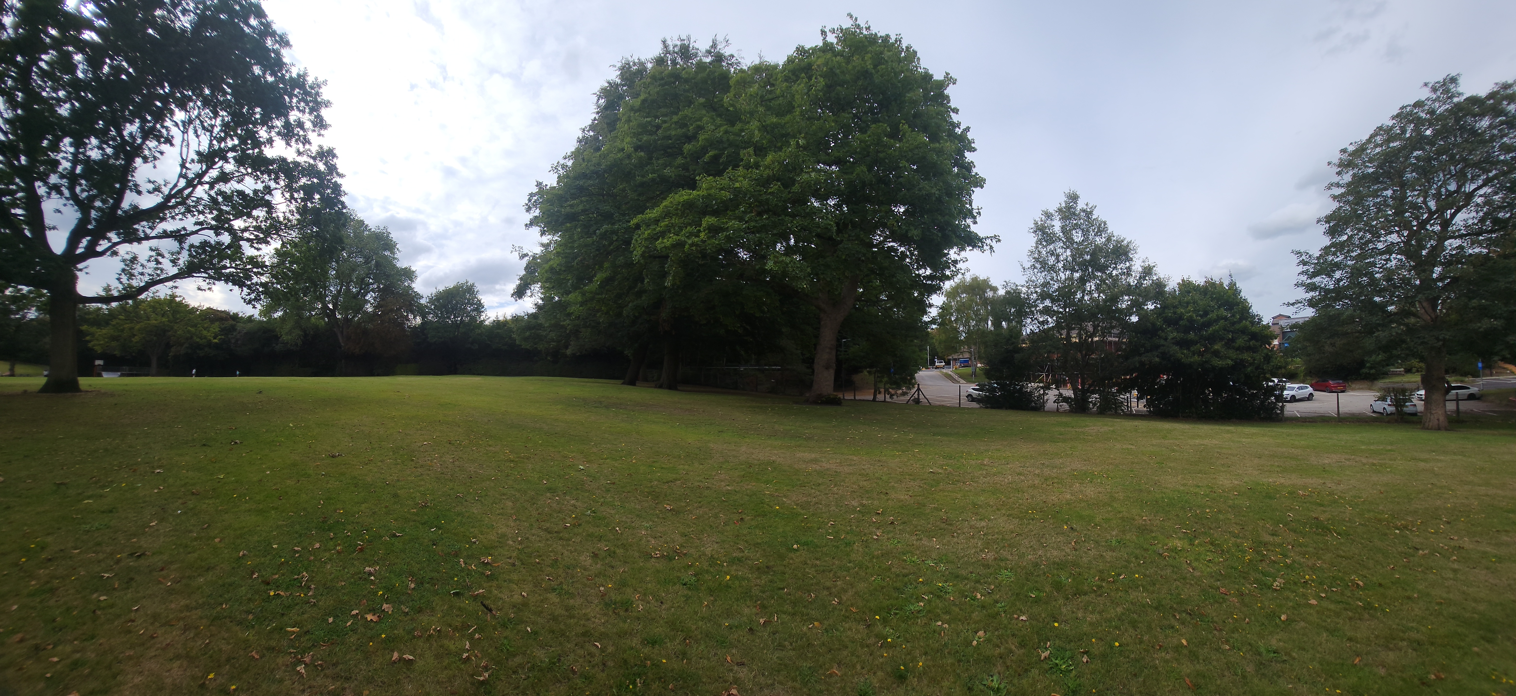 Panoramic view of the lower lawn at Verdin Park in late summer