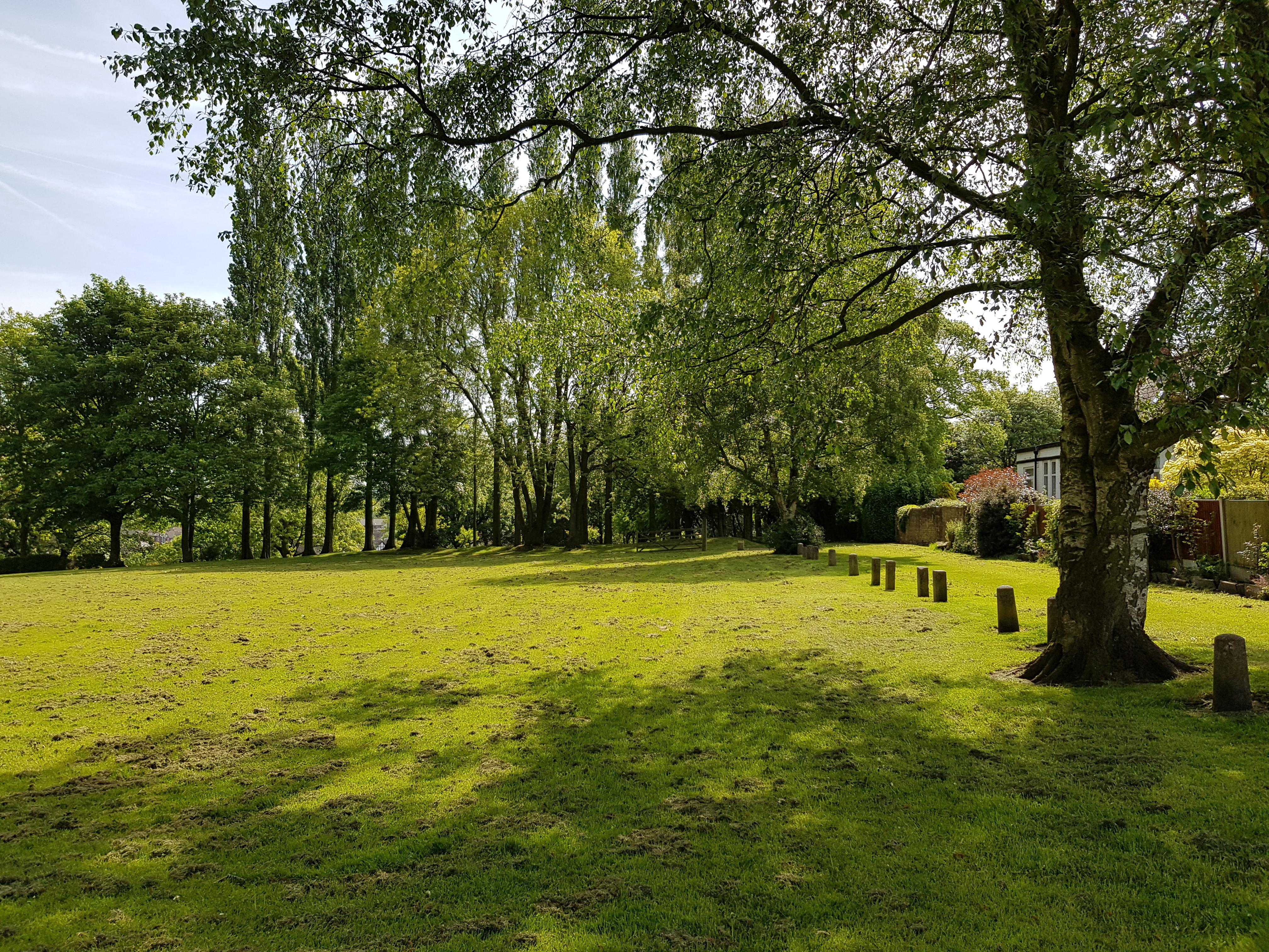 The upper lawn of Verdin Park with a row of stone bollards and tall poplar trees in summer