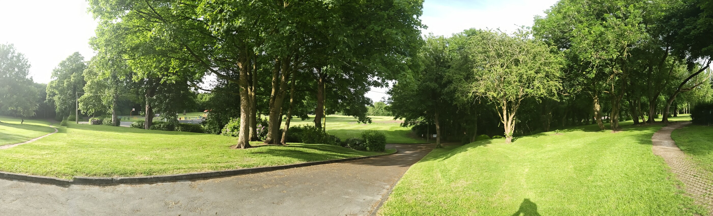 Verdin Park — a curving path through mature trees on a summer evening